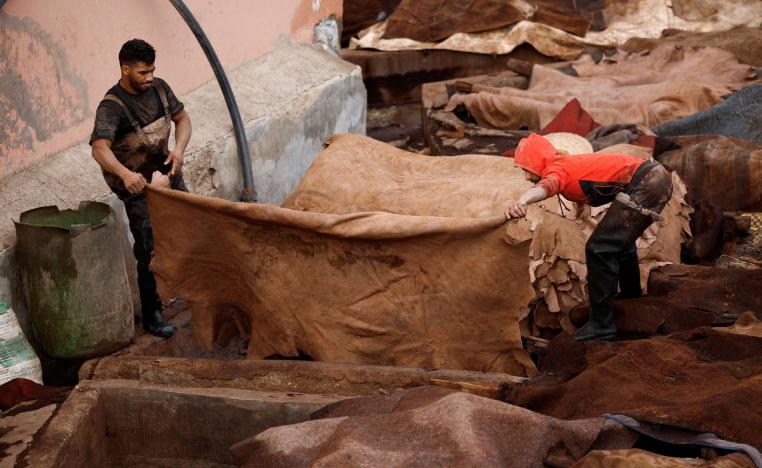 الشباب المغربي بات يشتغل في مختلف المجالات