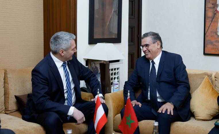 النمسا تلتحق بركب الداعمين الدوليين لمغربية الصحراء