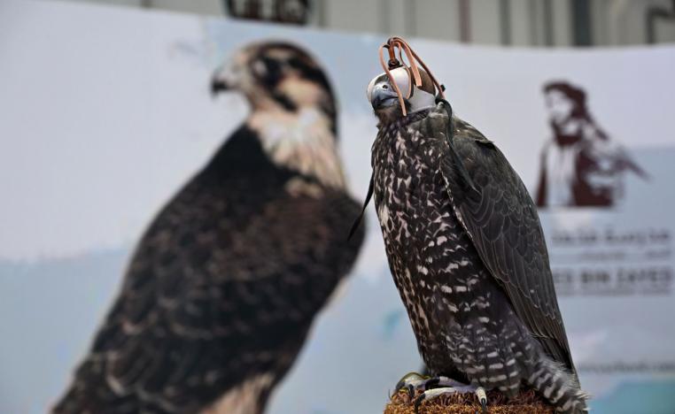 ADIHEX