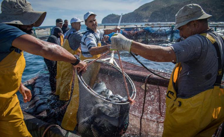 الرباط تنتظر الحكم النهائي بشأن الاتفاق الزراعي والبحري