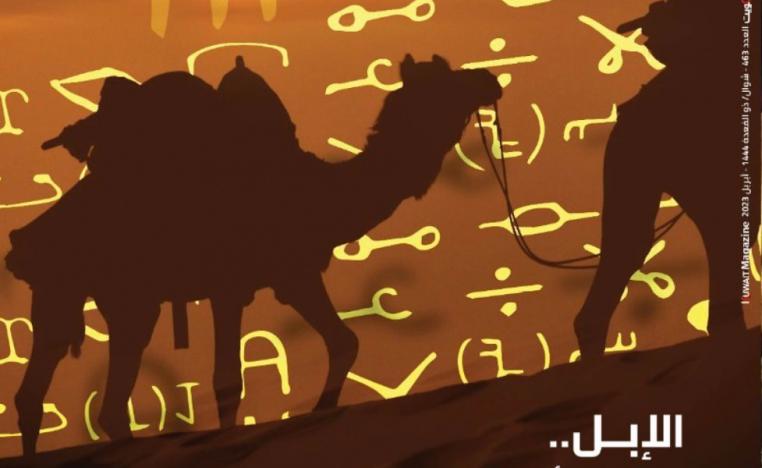 'الكويت' 