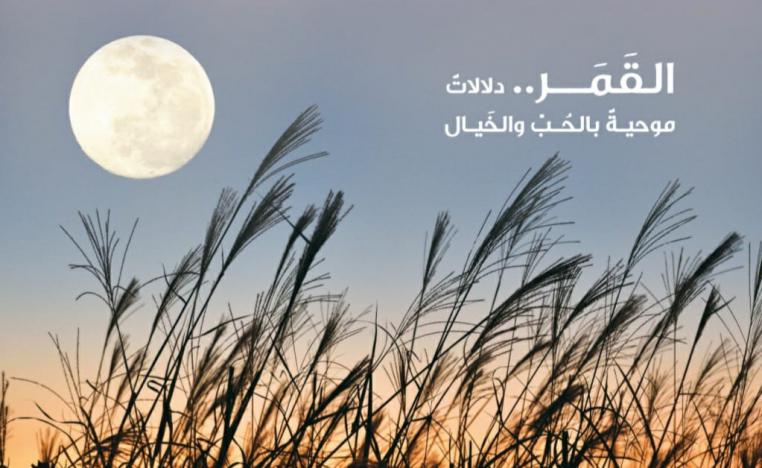 'القوافي'