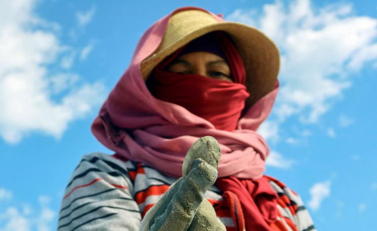 جامعات المحار