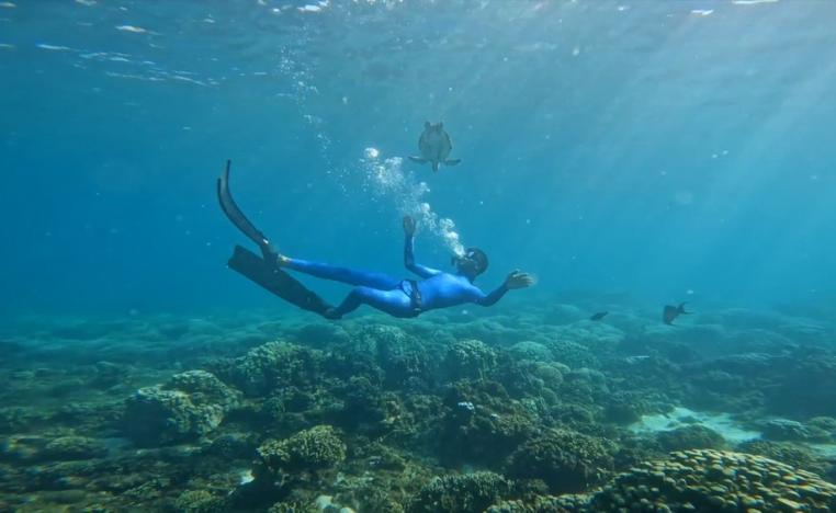 'لن تغوص وحيدًا'