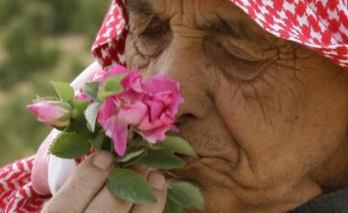 روائح