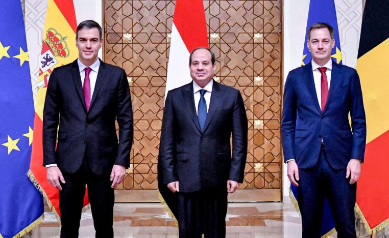 حل الدولتين فكرة استنفدت بحسب السيسي