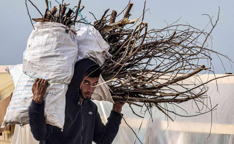 فلسطيني يجمع الحطب في غزة