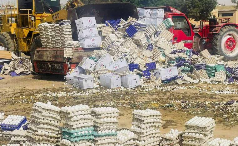 بلدوزر يقوم بدفن أكوام من بيض المساعدات لم يسمح له بالعبور من سيناء لرفح