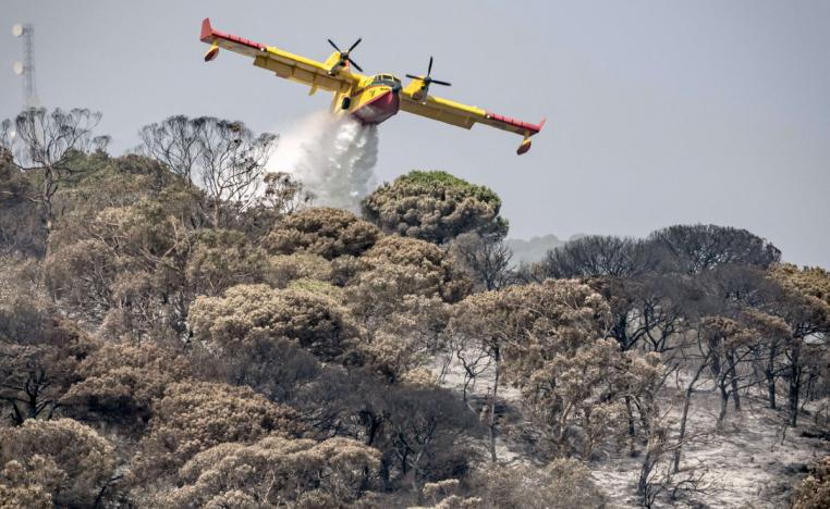 المغرب جاهز للتصدي لحرائق الغابات 
