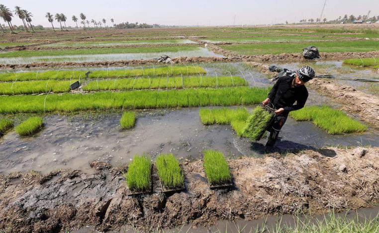Iraq is one of the world's top 10 importers of rice and wheat