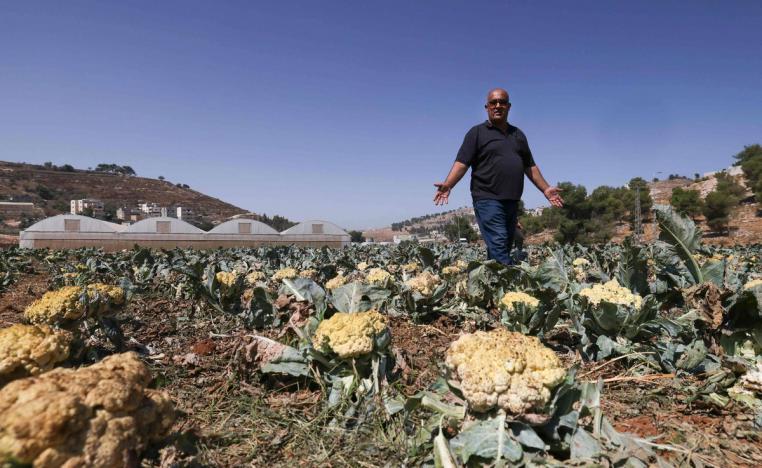 التضييق على المزارعين ساهم في تفاقم الأوضاع الاجتماعية وارتفاع نسب البطالة 