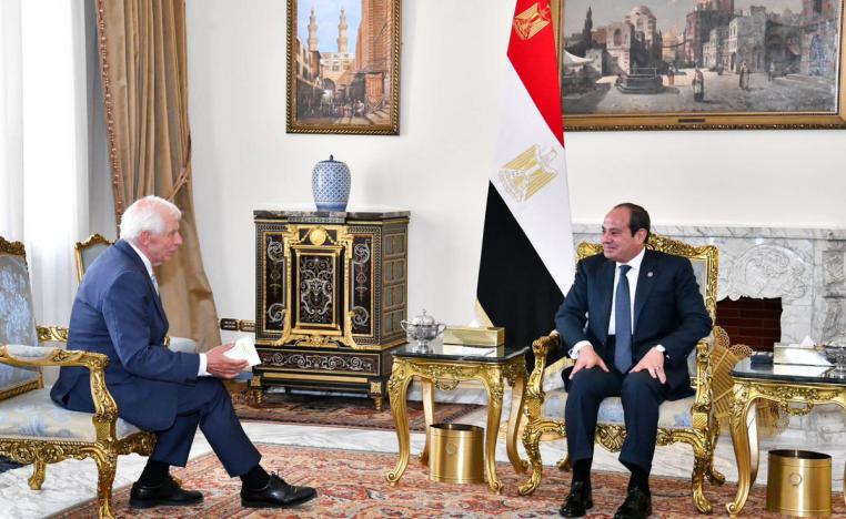 السيسي وشتاينماير يبحثان عديد القضايا 