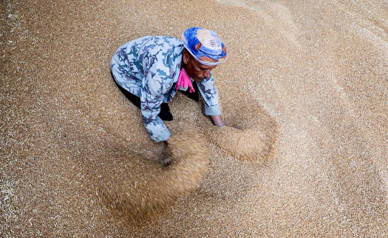 Egypt has explored alternatives including bank loans to purchase wheat 