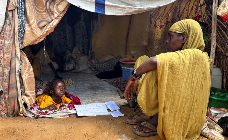 Severe acute malnutrition threatens more than 730,000 children