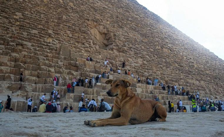 أهرامات الجيزة