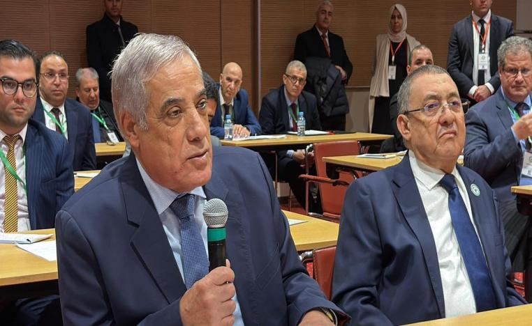 حكومة العرباوي تواجه تحديات الوفاء بوعود تبون 'الفضفاضة'