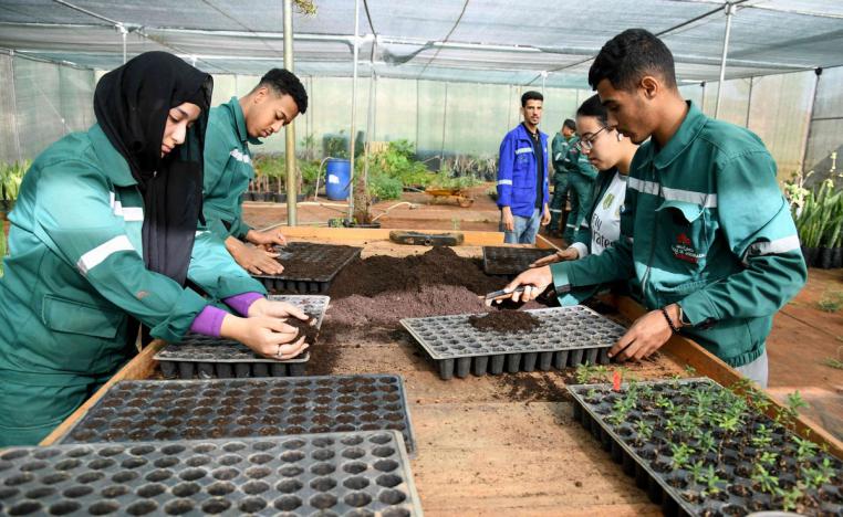 تضرر العاملين في المجال الزراعي بسبب الجفاف من بين عوامل ارتفاع البطالة