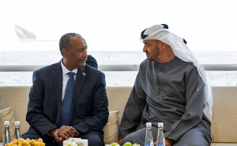 الامارات سعت لايجاد حلول سلمية للحرب في السودان