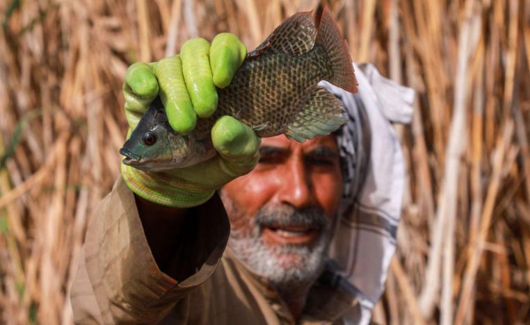 هور الحويزة