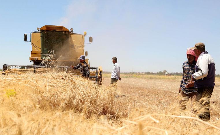FAO reports reports 75% of Syrian wheat crops projected to fail