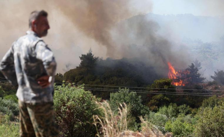 العديد من العائلات السورية تخسر مصدر دخلها القائم على تربية المواشي