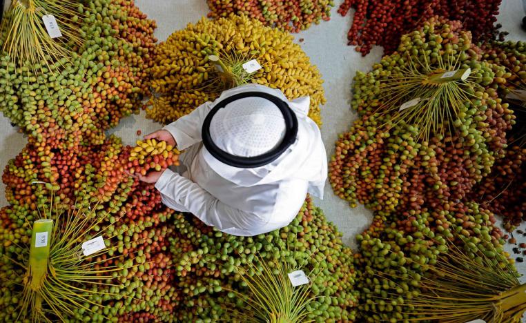 مهرجان ليوا للرطب