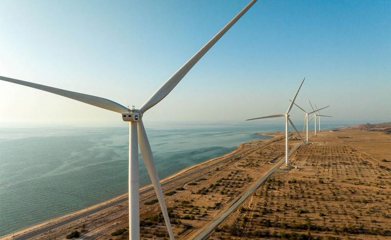 A wind farm is seen in Sir Bani Yas Island in Abu Dhabi