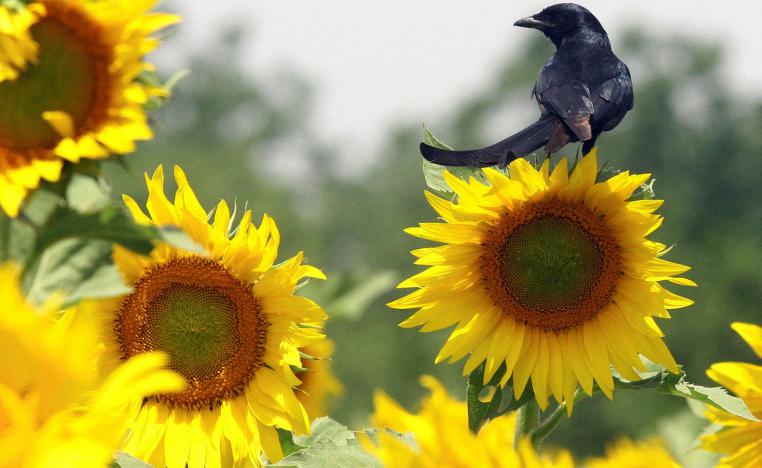 The measures will take effect from October onwards