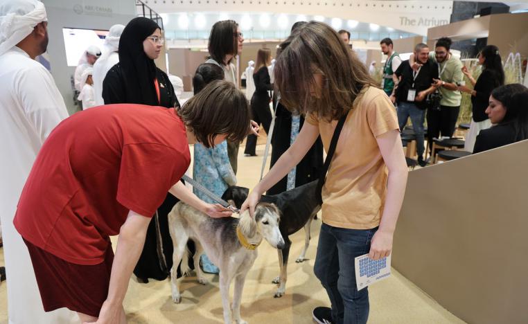 نادي صقاري الإمارات