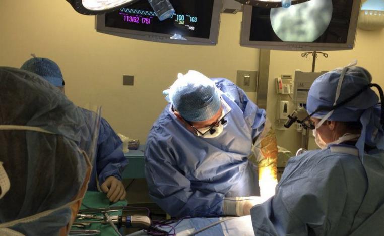 زراعة الكلى