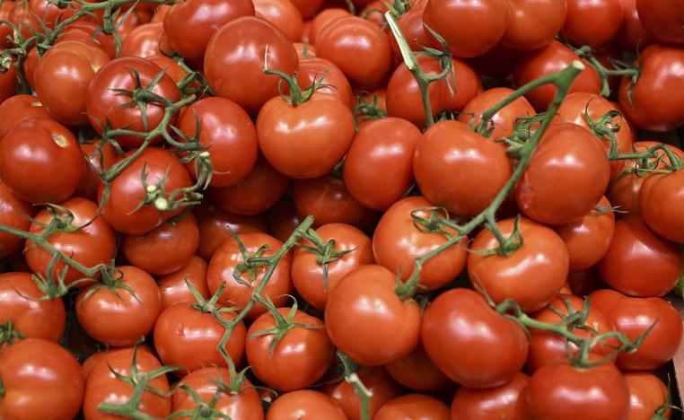 The accusations are based on no objective evidence