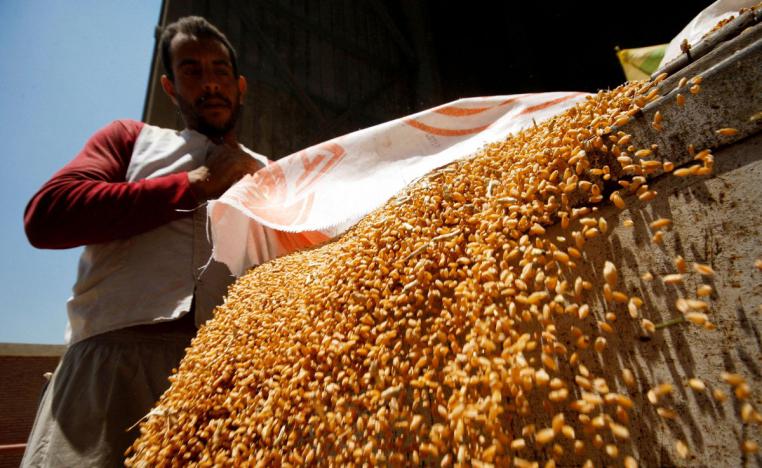 مصر تسعى إلى تقليل اعتمادها على واردات القمح