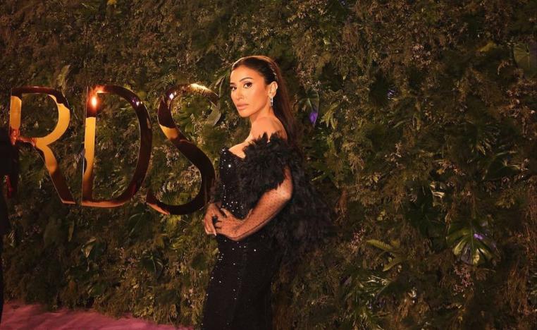 الانتقادات تلاحق دينا الشربيني