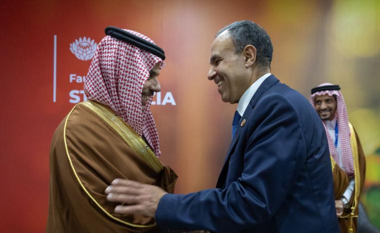 تنسيق مصري سعودي حول القضايا الاقليمية