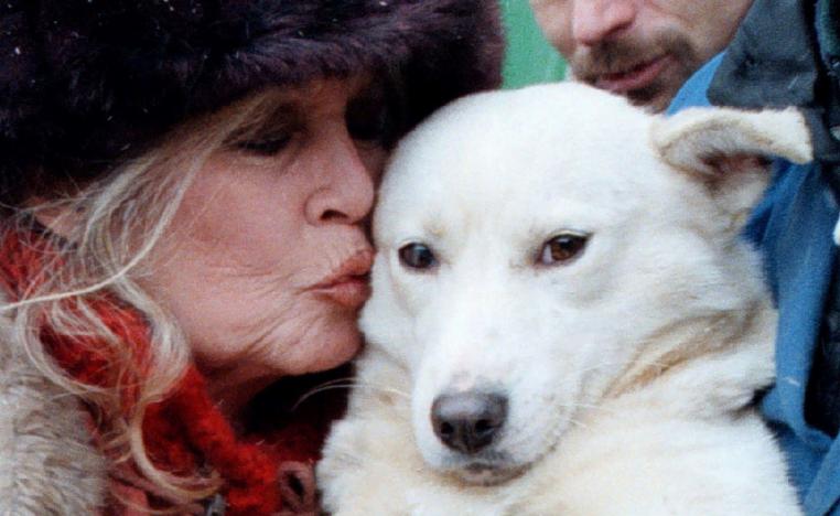 بريجيت ‌باردو