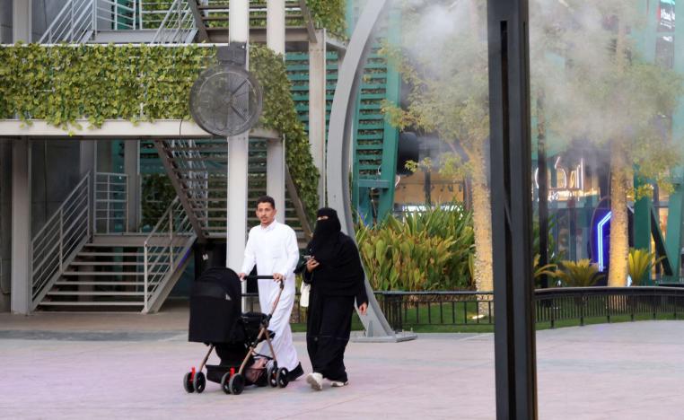 تقليل الانجاب إحدى علامات الحداثة