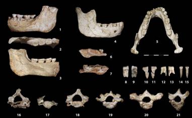 These discoveries fill a major gap in the African fossil record
