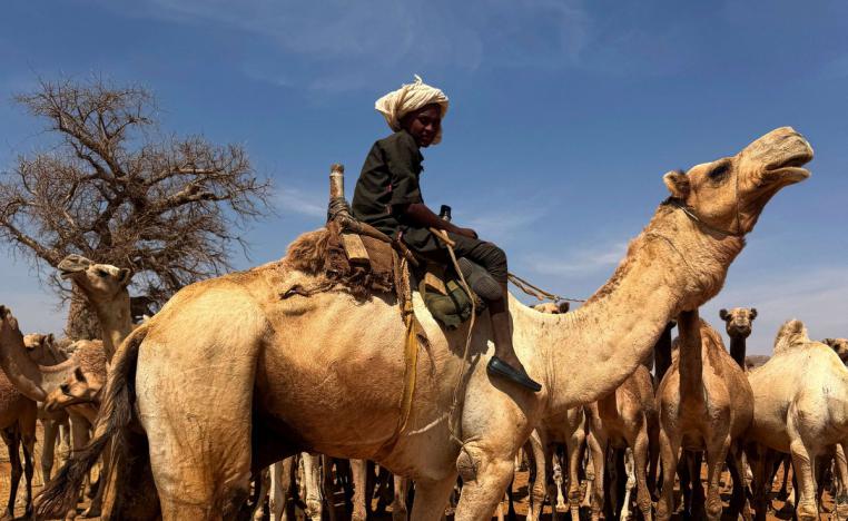الصحراء تتحول إلى سجن للبدو الرحل 