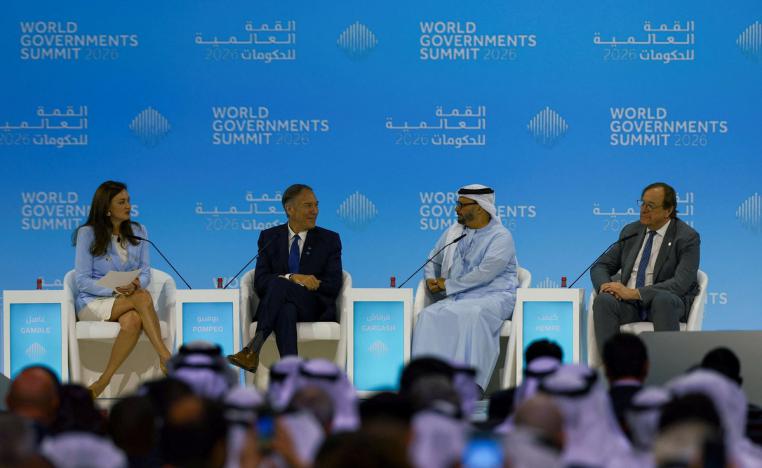 الإمارات ستواصل الدفاع عن رؤية السلام في المنطقة