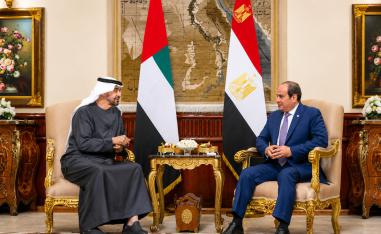 عبدالفتاح السيسي والشيخ محمد بن زايد
