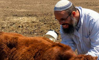 "Is it merely a religious ritual, or an impending engine to displace history in Jerusalem?