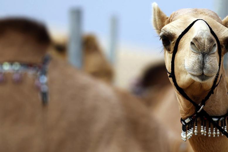 مهرجان تراثي