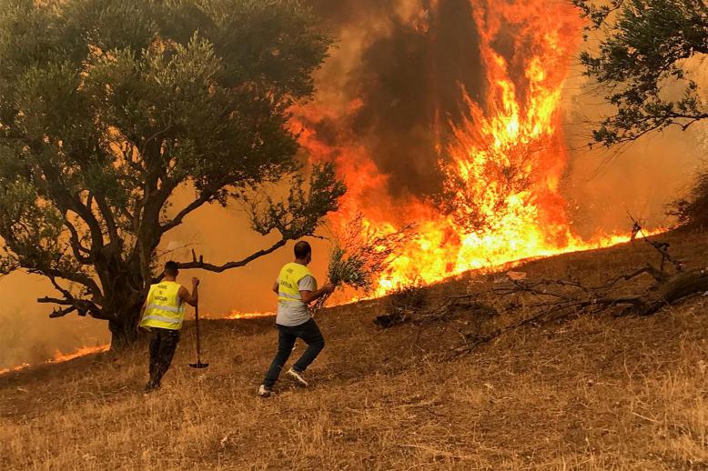 Wildfires in Tizi Ouzou