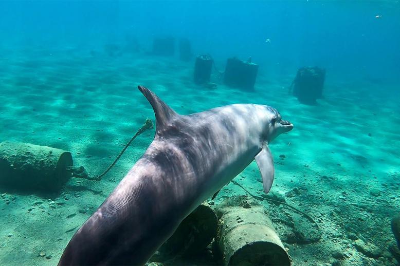 Israel's energy minister had previously come out against the deal, citing ecological risks to Eilat's fragile coral reefs