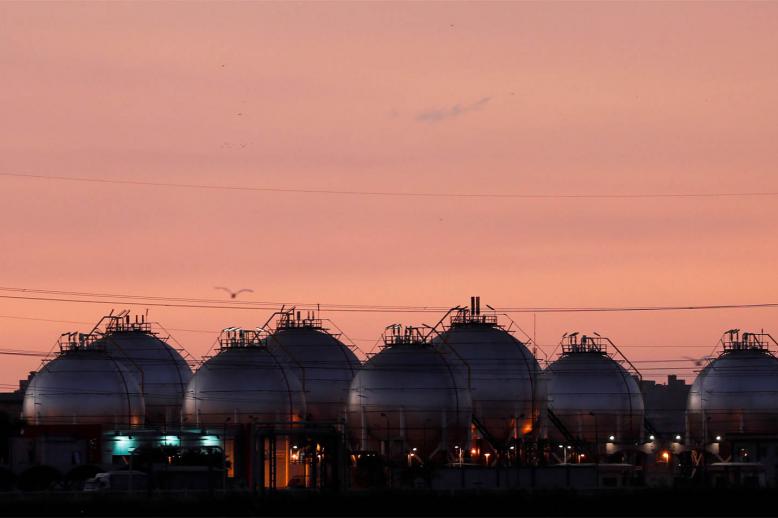 Countries like Egypt and Algeria will prioritise rising domestic demand over exports