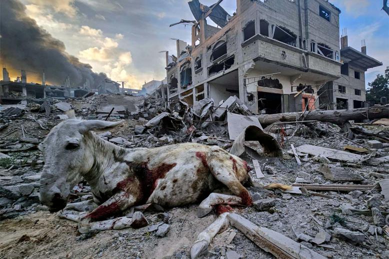 A sheer destruction of the Gaza Strip
