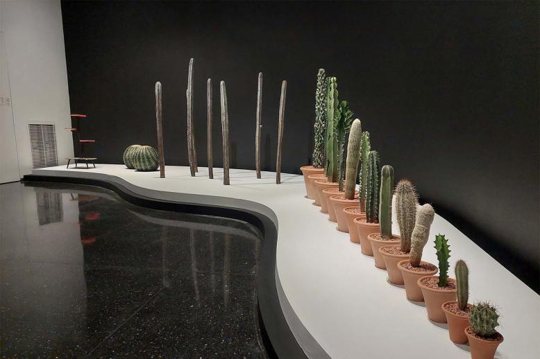 Cacti in ascendance next to the lightly disordered artwork of German artist Katinka Bock