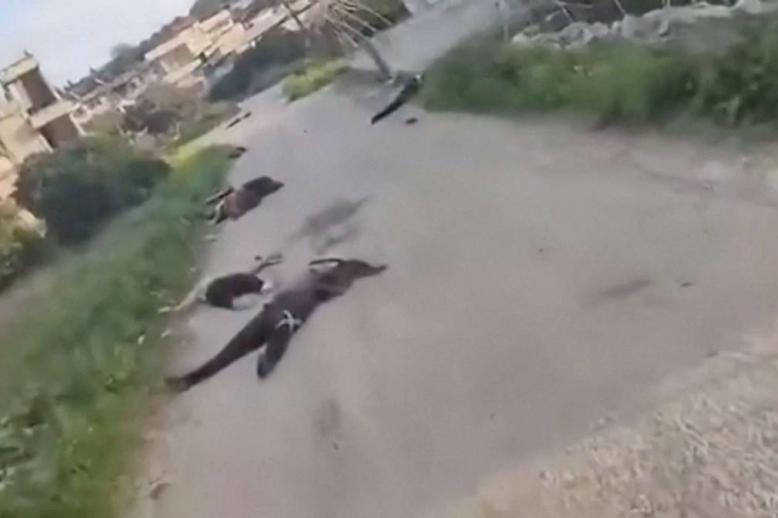 جثث لضحايا اعدامات في قرية الشير في اللاذقية