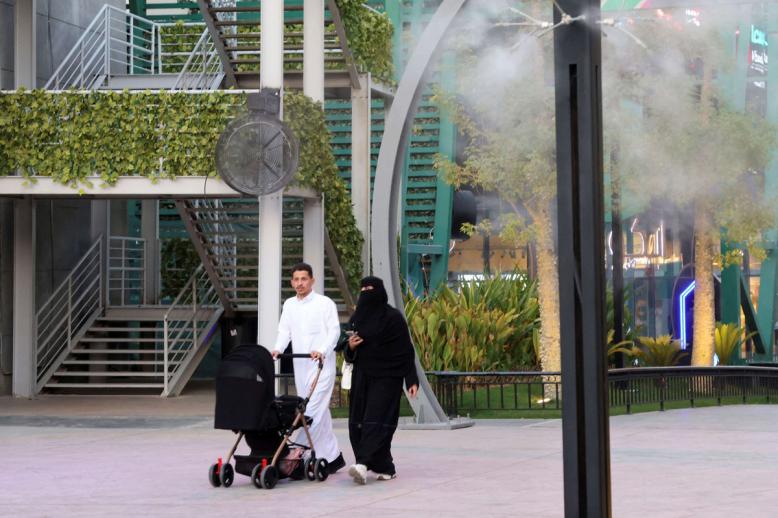 تقليل الانجاب إحدى علامات الحداثة