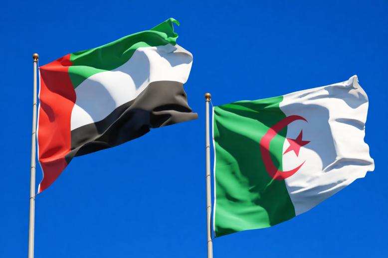 مواقف الامارات من قضايا اقليمية تزعج الجزائر